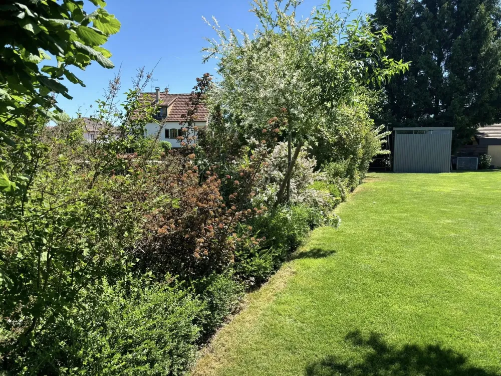 Jardinier entretien jardin près de Ensisheim
