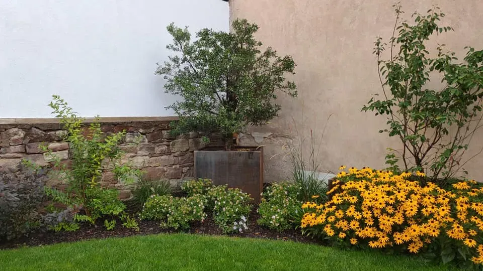 Création espaces verts